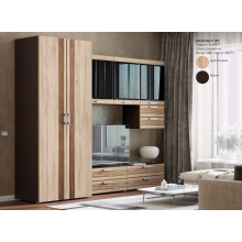 Гостиная арт.24.192.5 фасад МДФ сонома/каркас ЛДСП венге 2584х382хh2150мм вариант №5