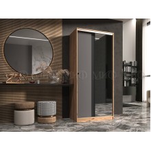 Шкаф-купе 2-х. дв. арт.24.24.1 фасад ЛДСП графит/каркас ЛДСП дуб крафт 1000х600хh2200мм. Альянс