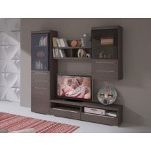 Гостиная арт.24.54 МДФ шоколад/ЛДСП венге 2224х378хh2150мм вариант №3