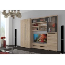 Гостиная арт.24.54.2 МДФ венге/ЛДСП венге 2584х542хh2115мм вариант №1  